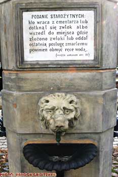 IMG_ (10546)